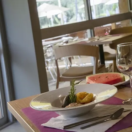 Novotel Antibes Sophia Antipolis 4*